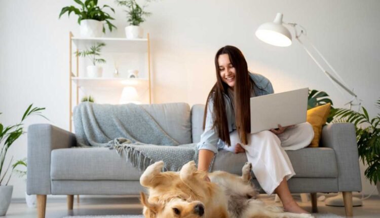 Dicas para evitar sujeira e mau cheiro em casas com pets