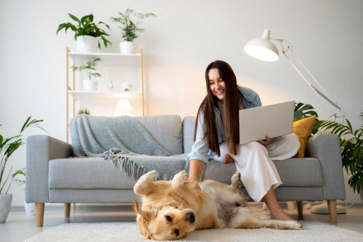Dicas para evitar sujeira e mau cheiro em casas com pets
