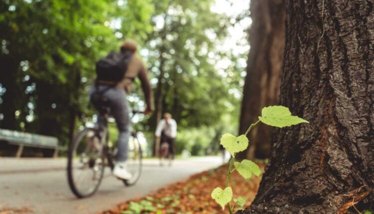 Mobilidade sustentável: soluções para um futuro limpo
